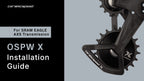 CeramicSpeed OSPW X for SRAM Eagle Transmission (Silver / Black) - Pedal Passion
