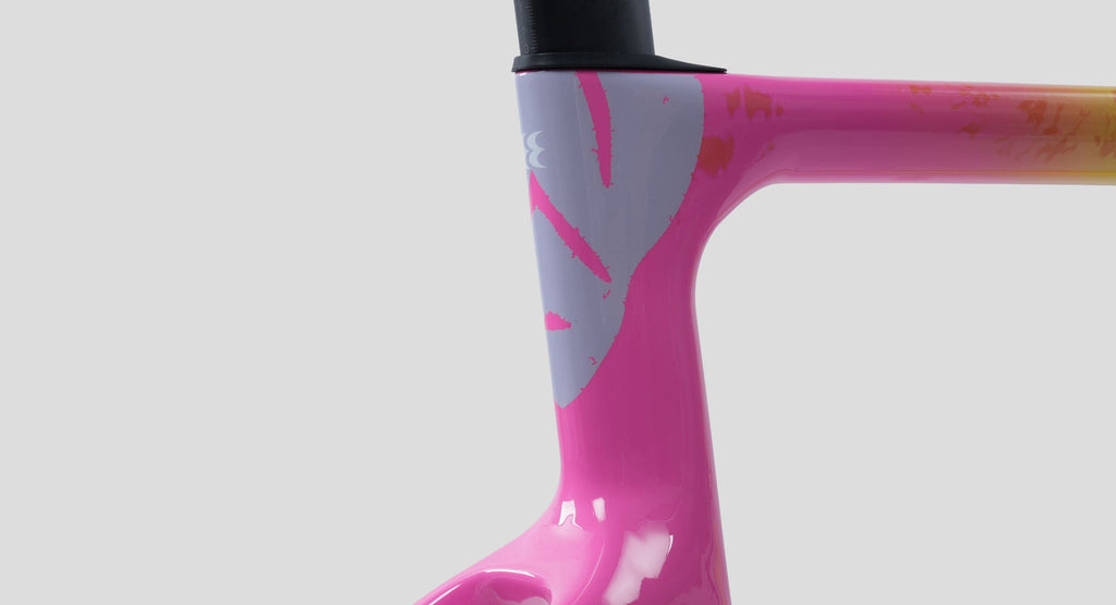 Evolve CIMA Road Frameset (Tropical Yellow) - Pedal Passion
