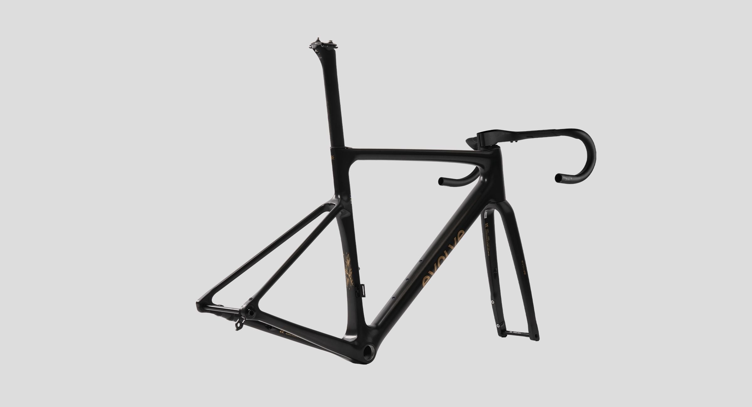 Evolve CIMA Carbon Road Frameset (Matte Carbon Gold)