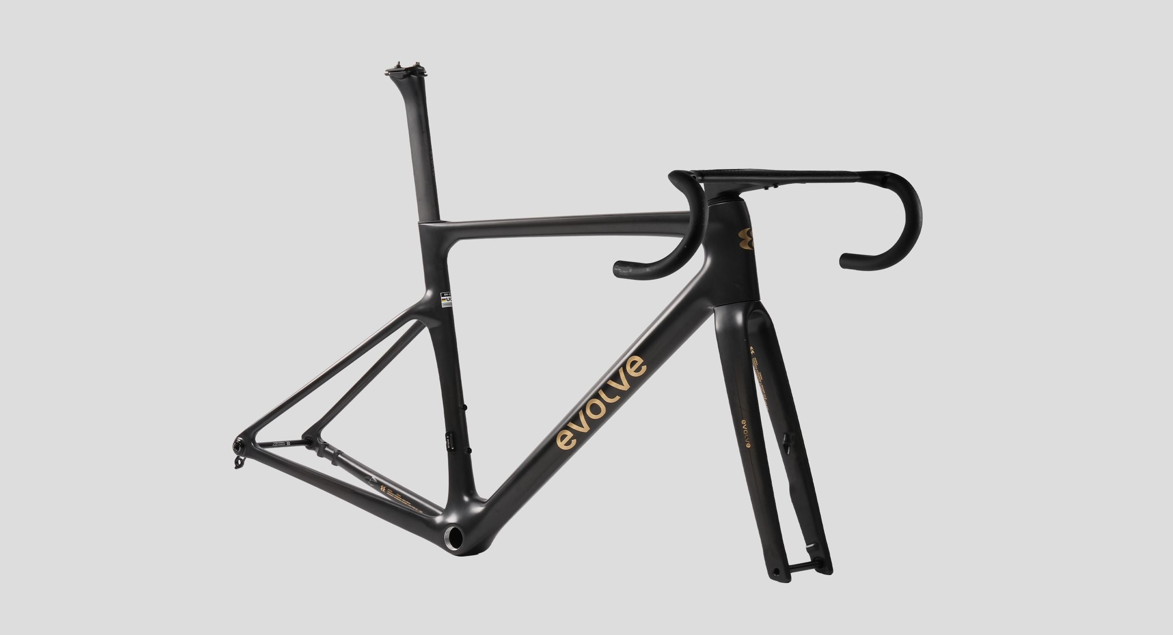 Evolve CIMA Carbon Road Frameset (Matte Carbon Gold)