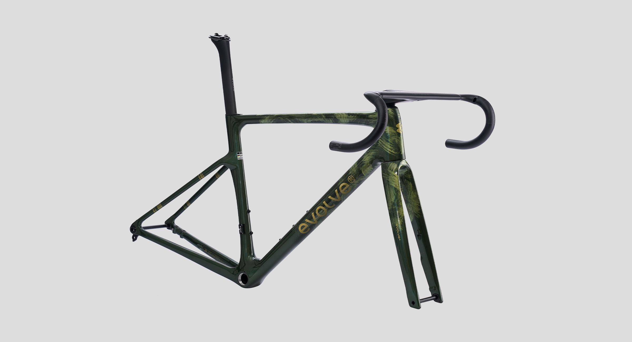 Evolve CIMA Artist Road Frameset (Emerge)