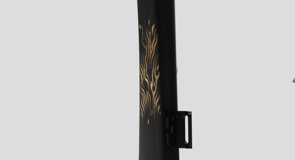 Evolve CIMA Carbon Road Frameset (Matte Carbon Gold)