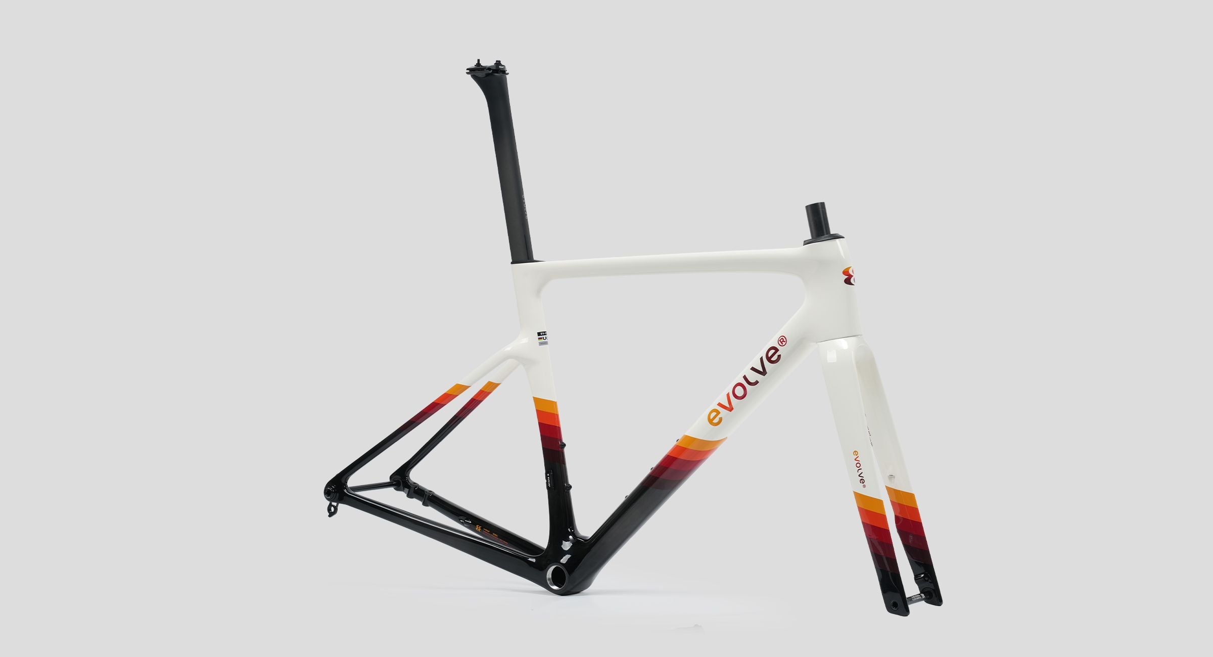 Evolve CIMA Special Edition (Rewind)