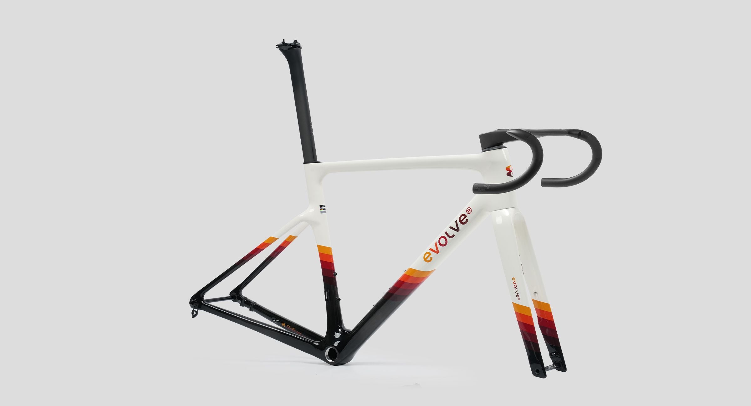 Evolve CIMA Special Edition (Rewind)