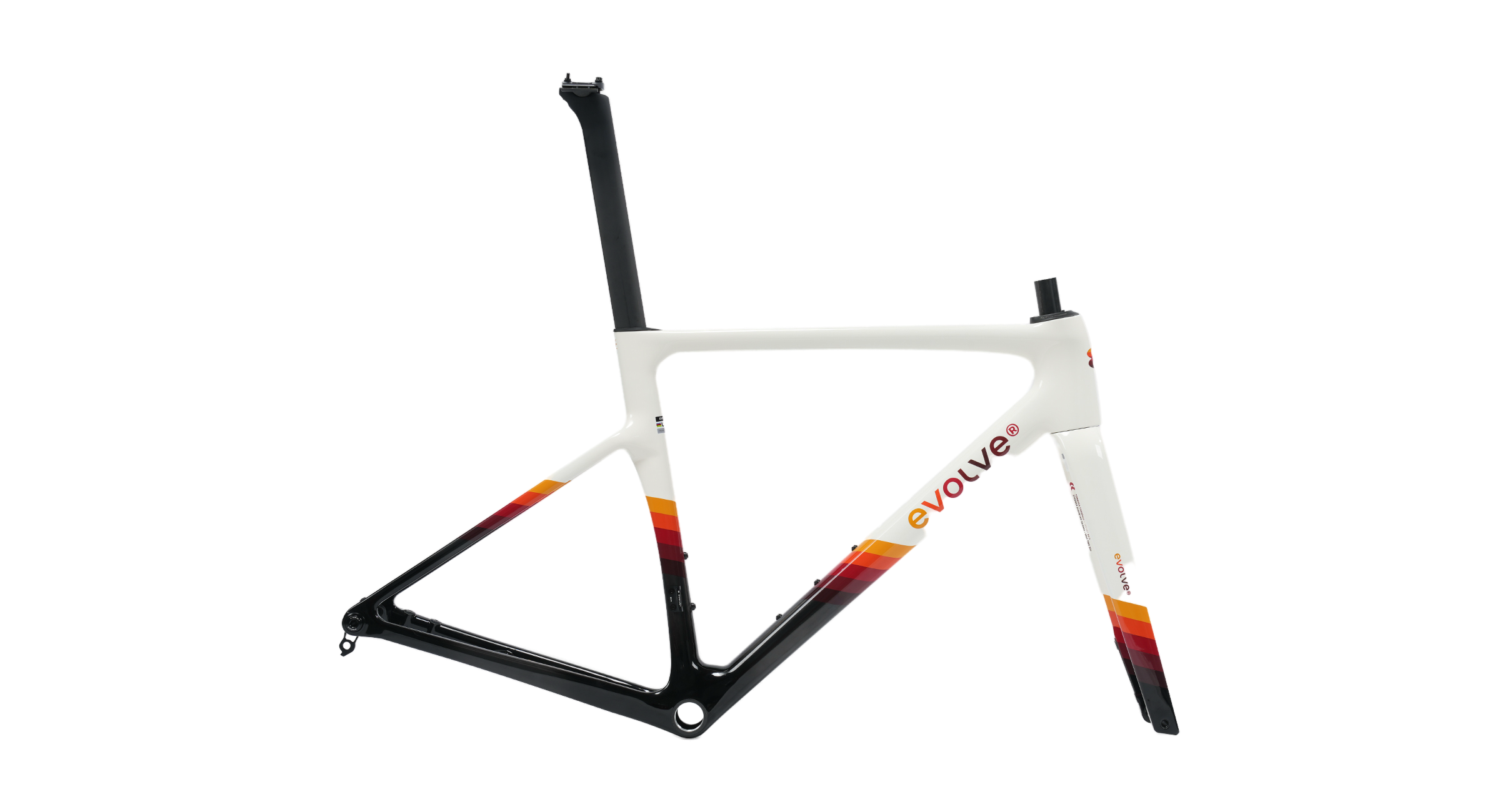 Evolve CIMA Special Edition (Rewind)