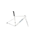 A white Evolve bicycle frame with black and blue branding details, shown on a light gray background.
