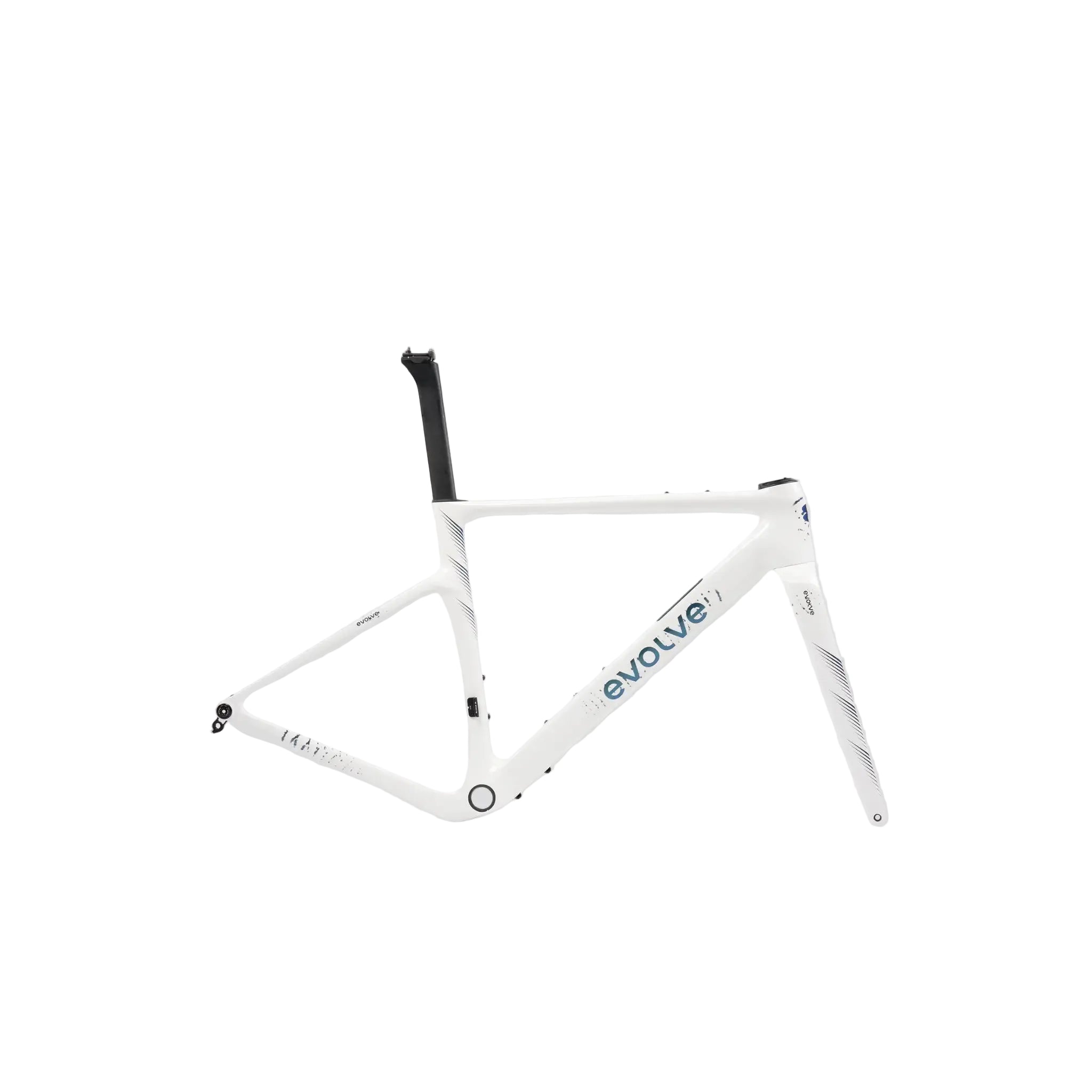 A white Evolve bicycle frame with black and blue branding details, shown on a light gray background.