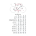 ENVE MOG "Mother of Gravel" Frameset
