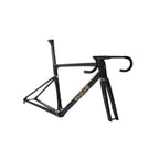 A black carbon fiber road bicycle frame with gold 'evolve' branding on the down tube, shown with drop handlebars and a seat tube against a light gray background.