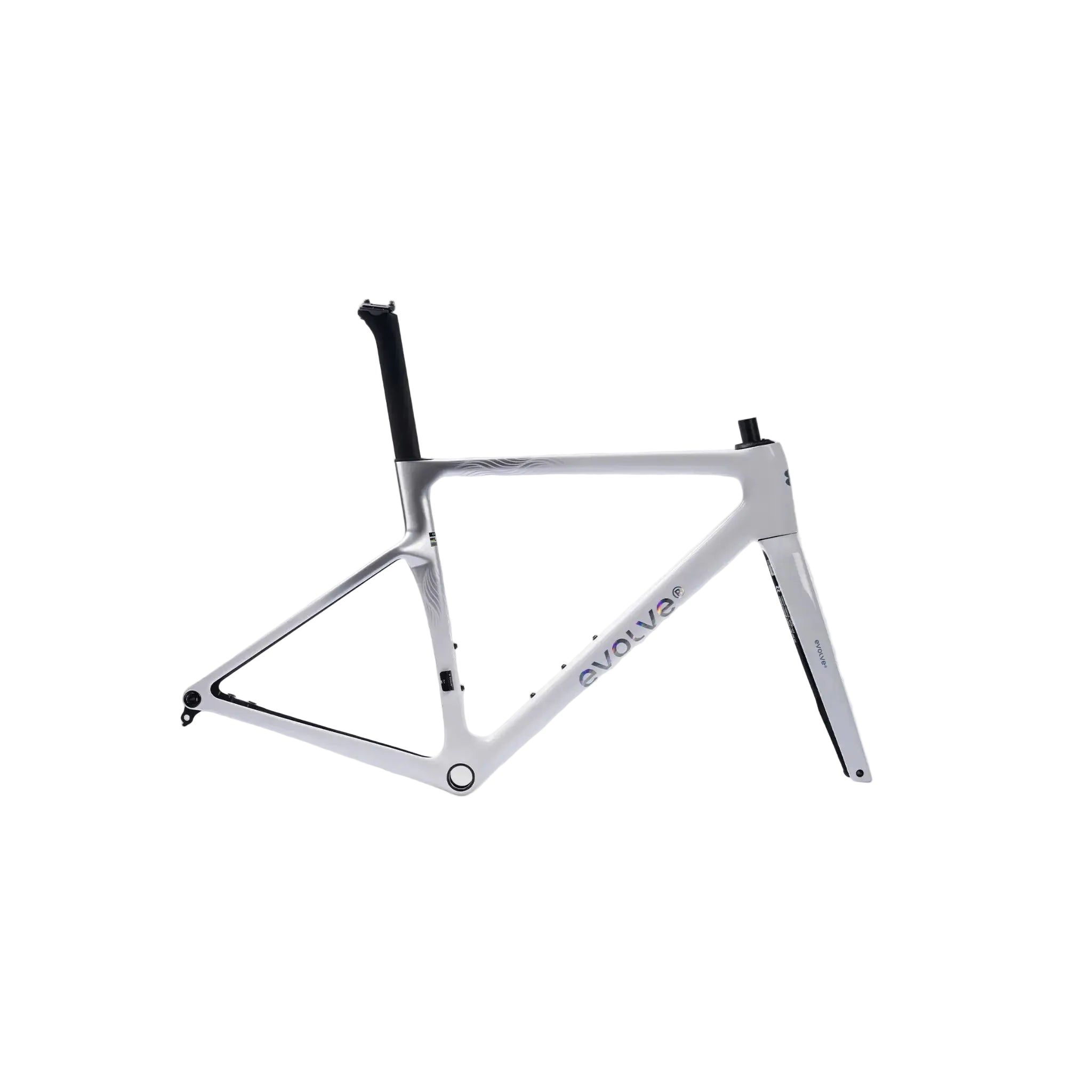 A white Evolve carbon fiber road bicycle frame with black seatpost and black accents, displayed against a light gray background.