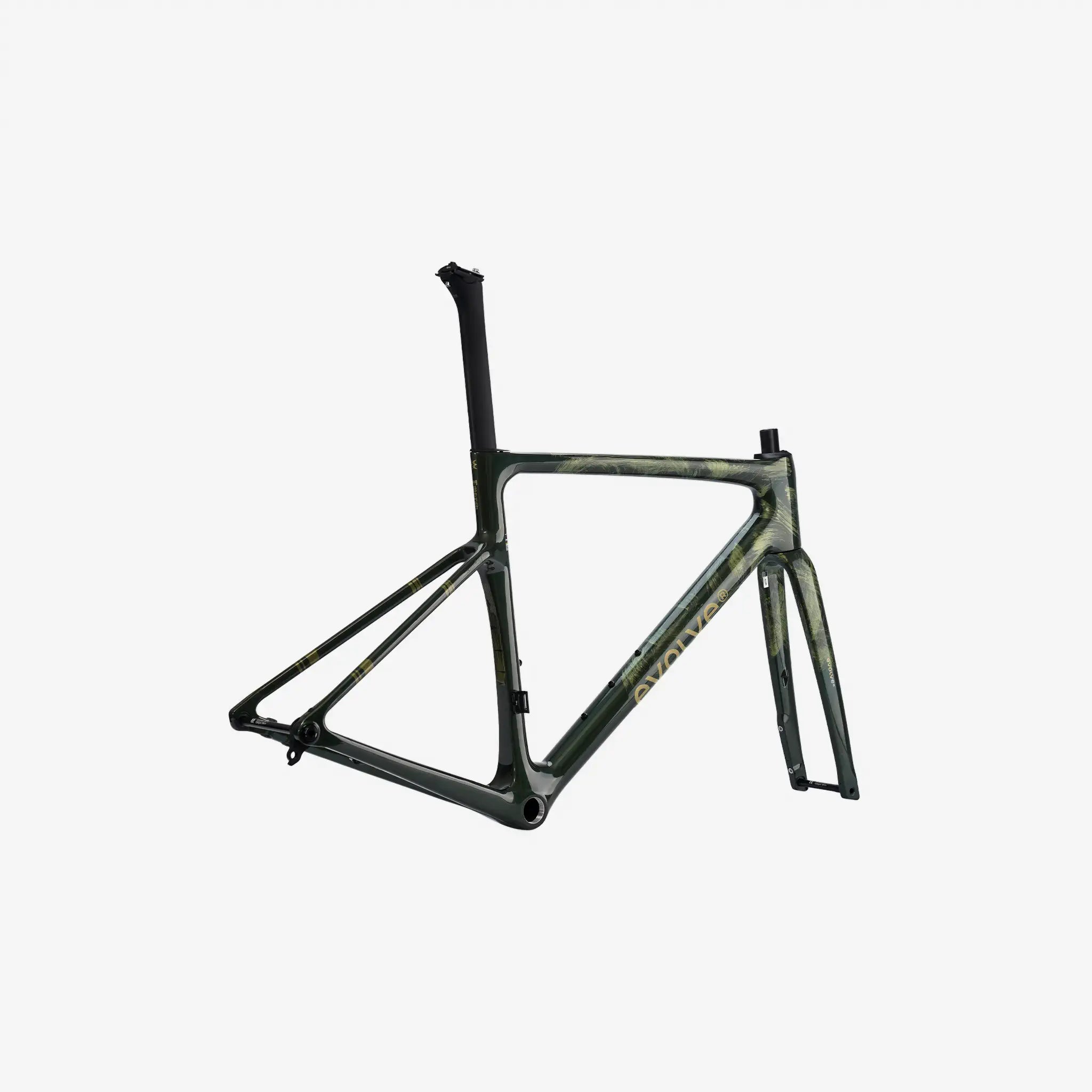 Evolve CIMA Artist Road Frameset (Emerge)