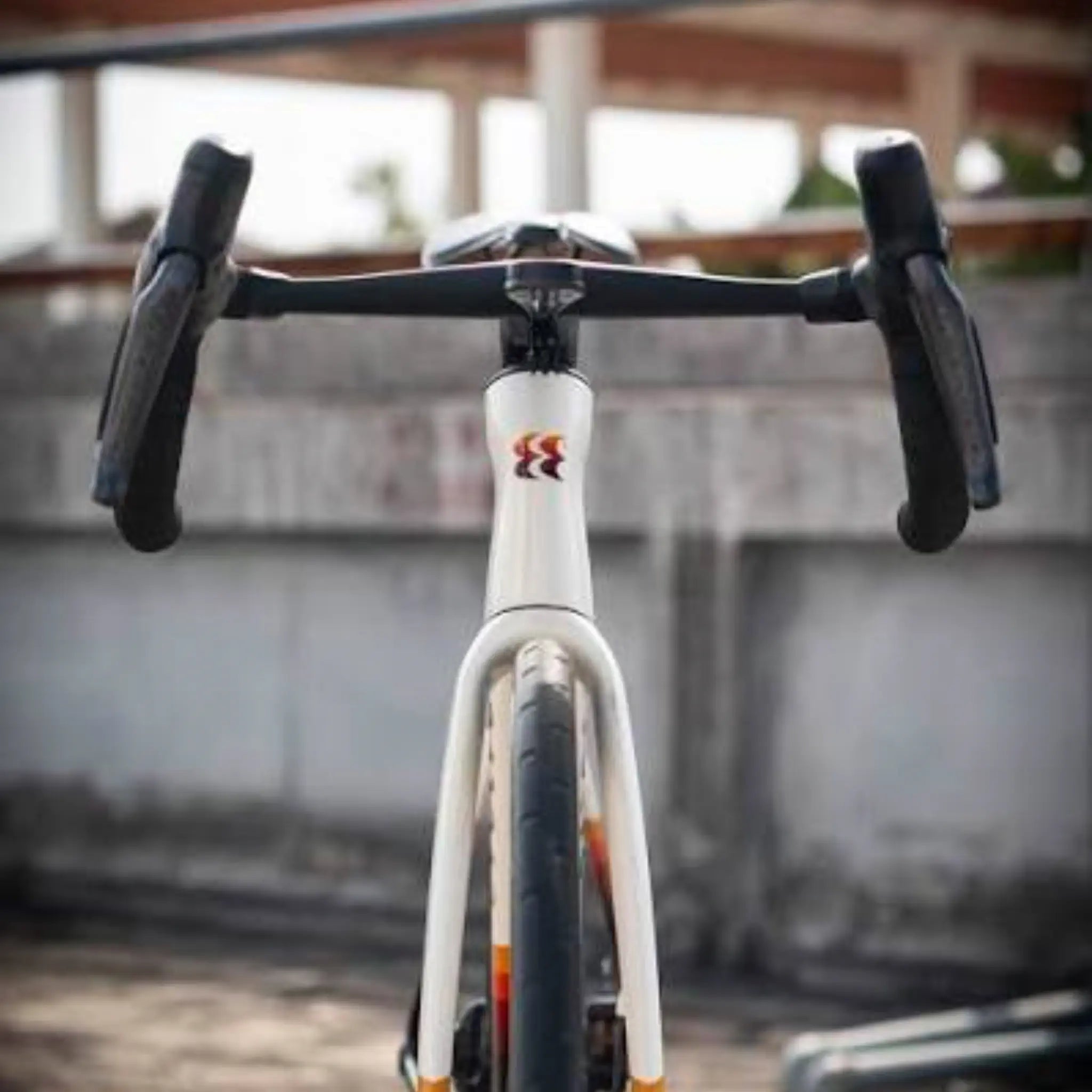 Evolve CIMA Special Edition (Rewind)