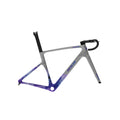 INCOLOR SR/SR+ Carbon Road Frameset
