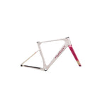 Wilier Rave SLR ID2 Carbon Frameset or Complete Gravel Race Bike