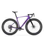 Wilier Rave SLR ID2 Carbon Frameset or Complete Gravel Race Bike