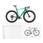 Wilier Rave SLR ID2 Carbon Frameset or Complete Gravel Race Bike