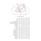 ENVE MOG "Mother of Gravel" Frameset - Pedal Passion