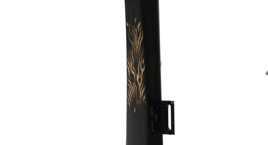 Evolve CIMA Frameset (Matte Carbon Gold) - Pedal Passion