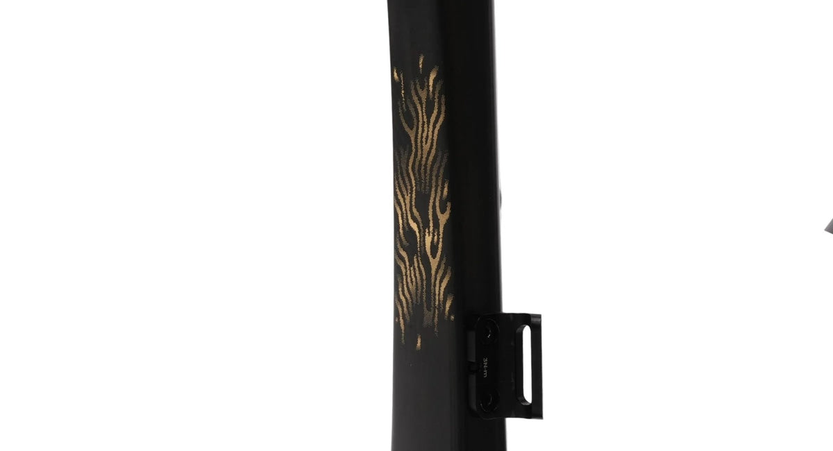 Evolve CIMA Frameset (Matte Carbon Gold) - Pedal Passion