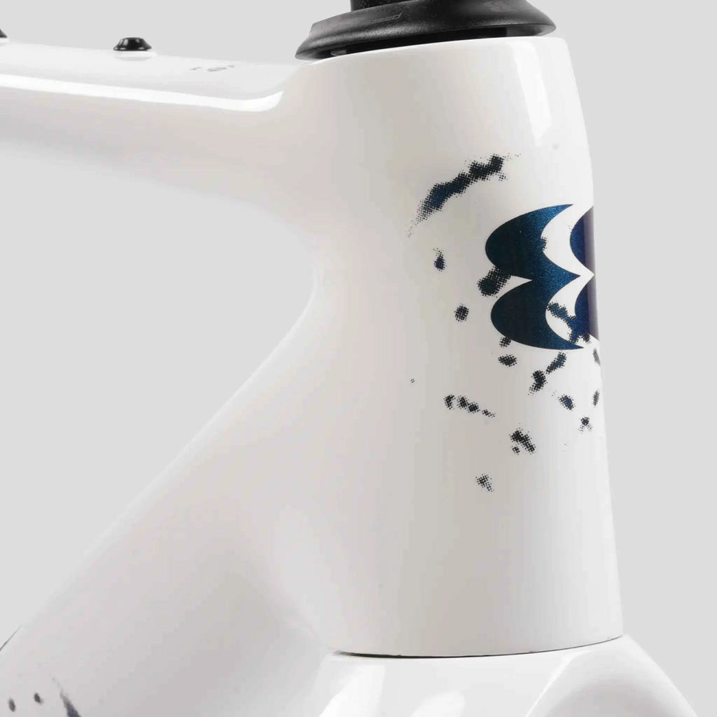 Evolve CIMA GR Sailfish Pearl Gravel Frameset - Pedal Passion