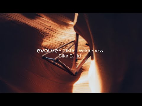 Evolve CIMA Artist Road Frameset (Wilderness)