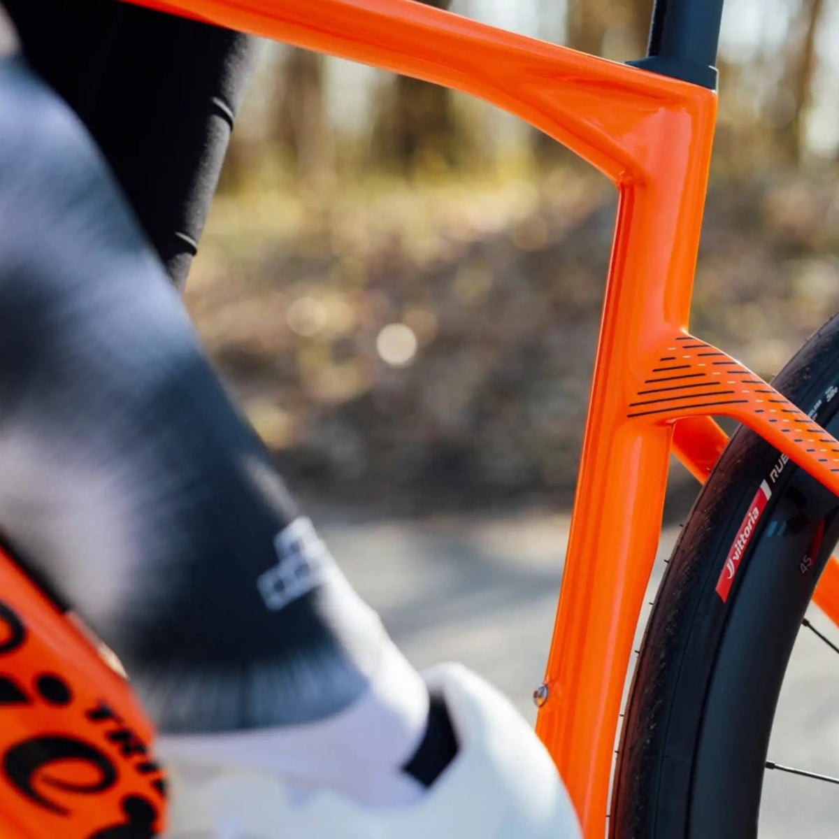 Wilier Rapida Frameset + Cockpit or Complete Bike (Midday Orange) - Pedal Passion