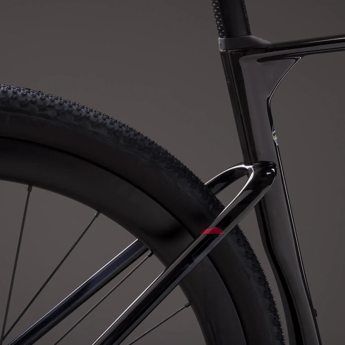 Wilier Rave SLR ID2 Carbon Frameset or Complete Gravel Race Bike - Pedal Passion